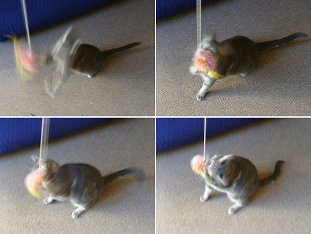 crocheted cat 'fishing' toy on a string by planetjune