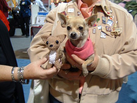 crocheted and live chihuahuas