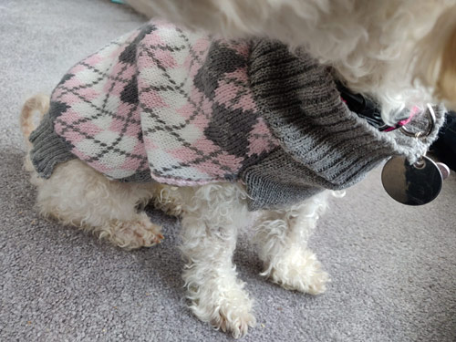 fixing an unravelling dog sweater with crochet