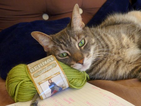 maui helping me choose appropriate yarn colours