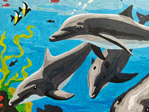 dolphins paint by numbers kit