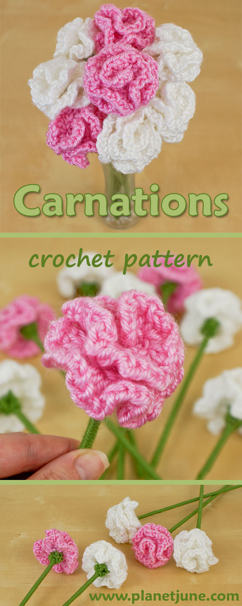 Blog by June Gilbank » Carnations