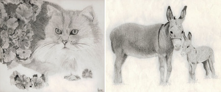 pencil sketches by June Gilbank