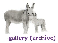 gallery (archive)