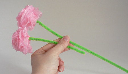 DIY Pipe Cleaners Kit - Carnation