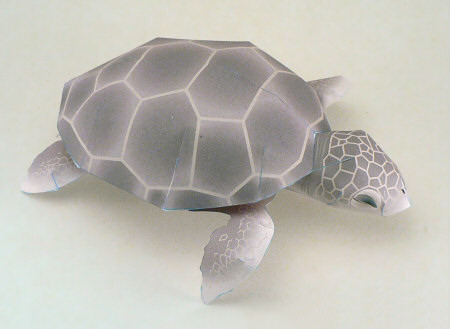 seaturtle_hitachi