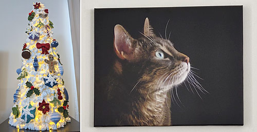 giant crocheted Christmas tree and canvas portrait of Maui