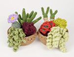 Succulent Collections 3 & 4 crochet patterns