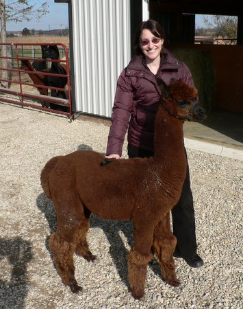 me at Alpaca Acres