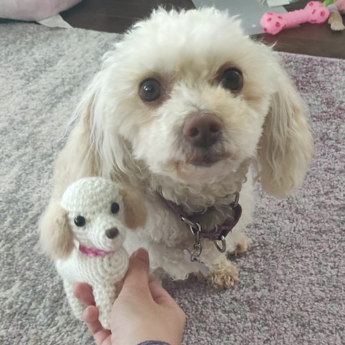 amigurumi Maggie dog by planetjune