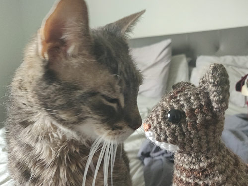 amigurumi Maui cat by planetjune