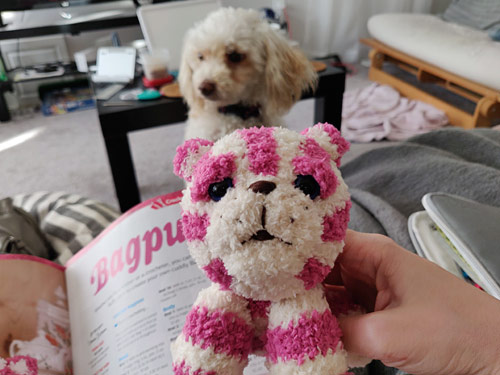 crochet bagpuss