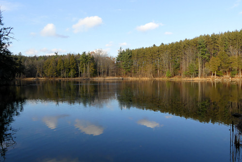 Ontario landscape