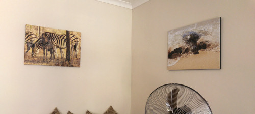 photo canvases on the wall