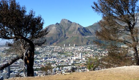 cape town from signal hill