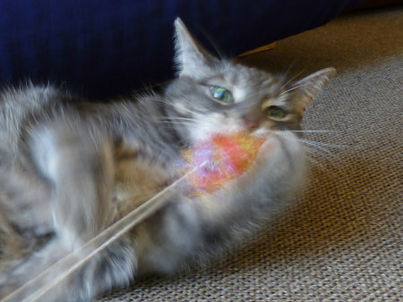 crocheted cat 'fishing' toy on a string by planetjune