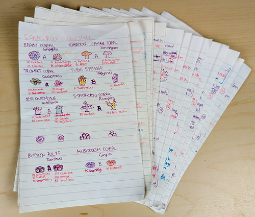 a fanned out sheaf of handwritten notes and sketches for the PlanetJune Coral Reef Collection crochet pattern