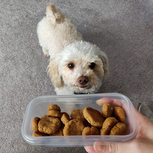 peanut butter dog cookies