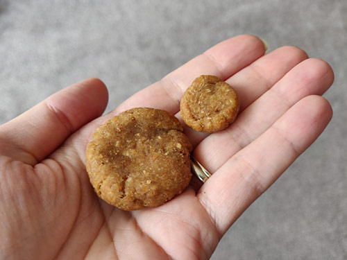 peanut butter dog cookies