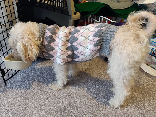 fixing an unravelling dog sweater with crochet