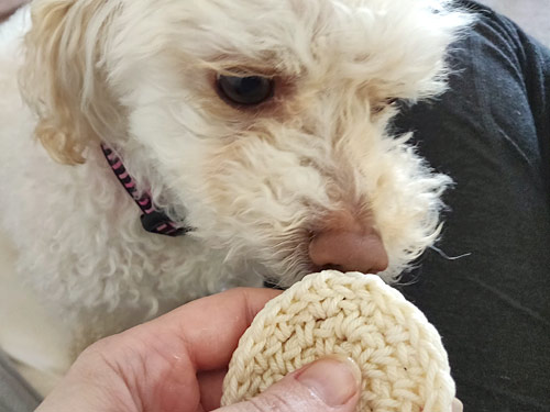 crocheted dog face wipes by planetjune