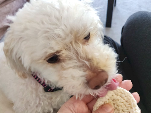 crocheted dog face wipes by planetjune