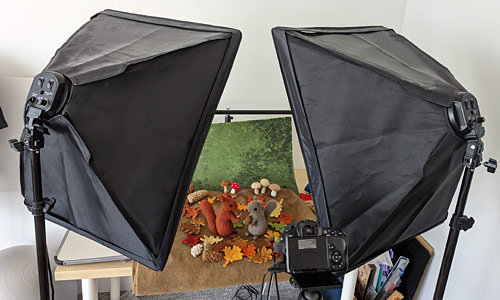 two softboxes light the woodland photo scene