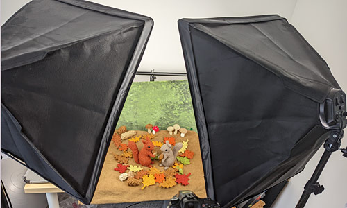 two softboxes light the woodland photo scene