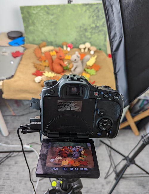 two softboxes light the woodland photo scene