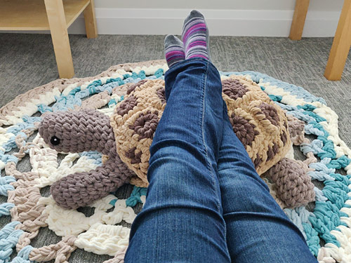 Giant Amigurumi Tortoise (from Tortoise crochet pattern by PlanetJune)