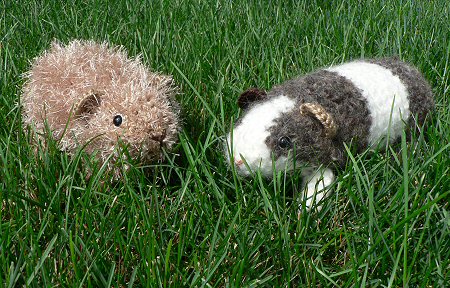 crocheted guinea pigs