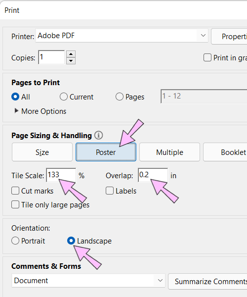Print dialog box for splitting one page of a PDF file onto two pages