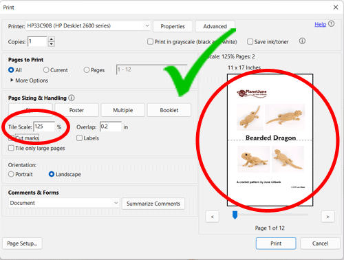 Print dialog box for splitting one page of a PDF file onto two pages