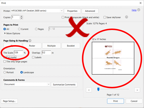 Print dialog box for splitting one page of a PDF file onto two pages