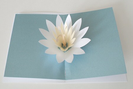 lotus blossom pop-up card