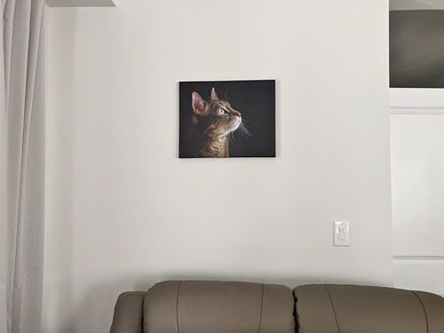 canvas portrait of Maui on the wall