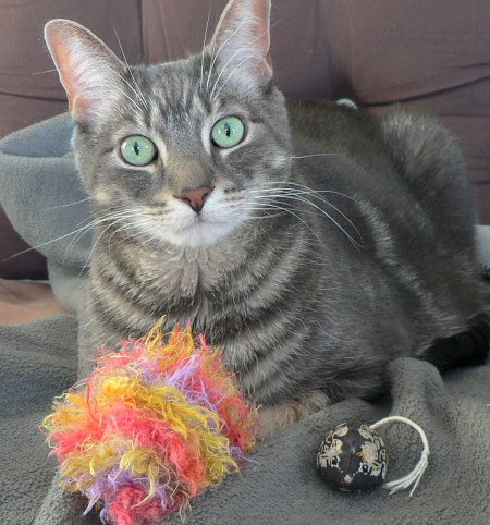 Crinkle Ball Cat Toy Tutorial – PlanetJune by June Gilbank: Blog