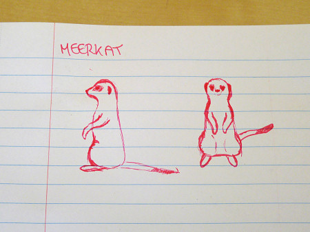 planetjune meerkat design: sketch