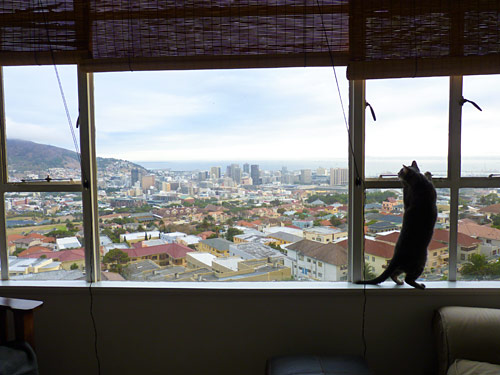 Maui looking out over Cape Town