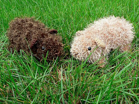 crocheted guinea pigs