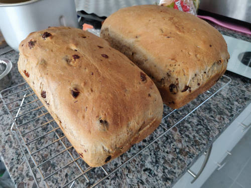 yummy raisin bread