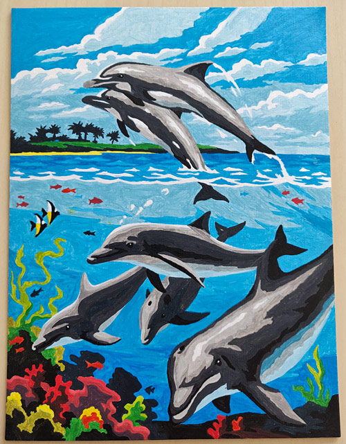 dolphins paint by numbers kit