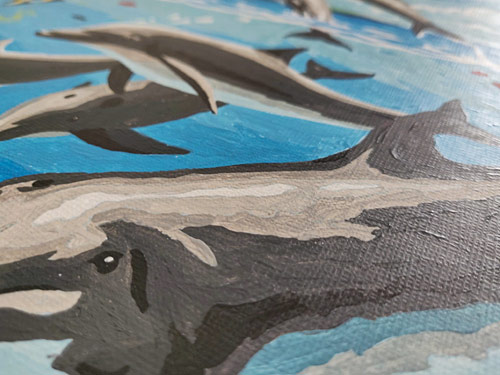 dolphins paint by numbers kit