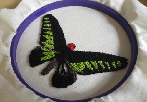 punchneedle butterfly: rajah brooke's birdwing by planetjune