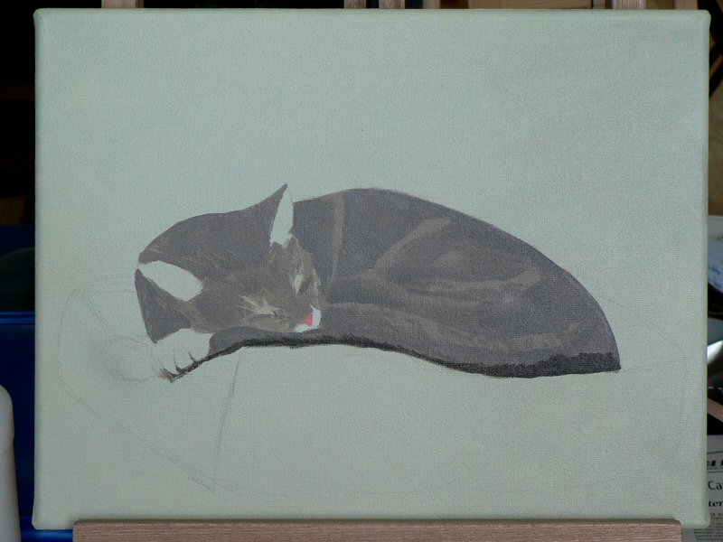 portrait of my cat Maui - first draft