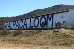 Yes, there are also some camels at the Alpaca Loom!