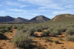 karoo landscape