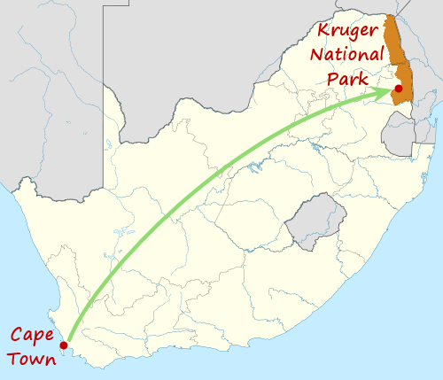 Kruger National Park and Cape Town, South Africa