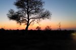 watching sunrise from the safari vehicle