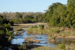 the rivers are green oases in the dry landscape